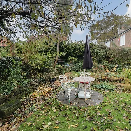 Laurel * גיסבורו